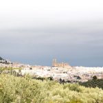 visita almazara tradicional