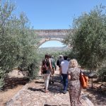 Un día entre olivos, historia y arte: Úbeda y Baeza desde Granada