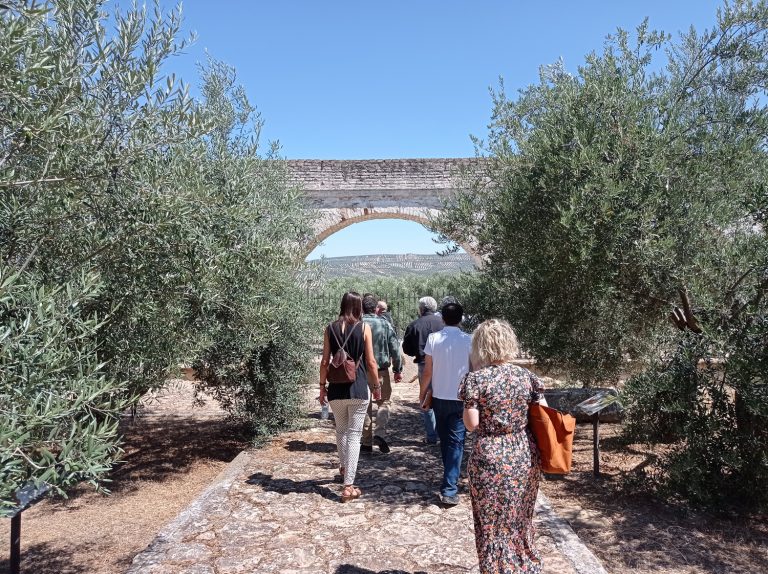 Un día entre olivos, historia y arte: Úbeda y Baeza desde Granada